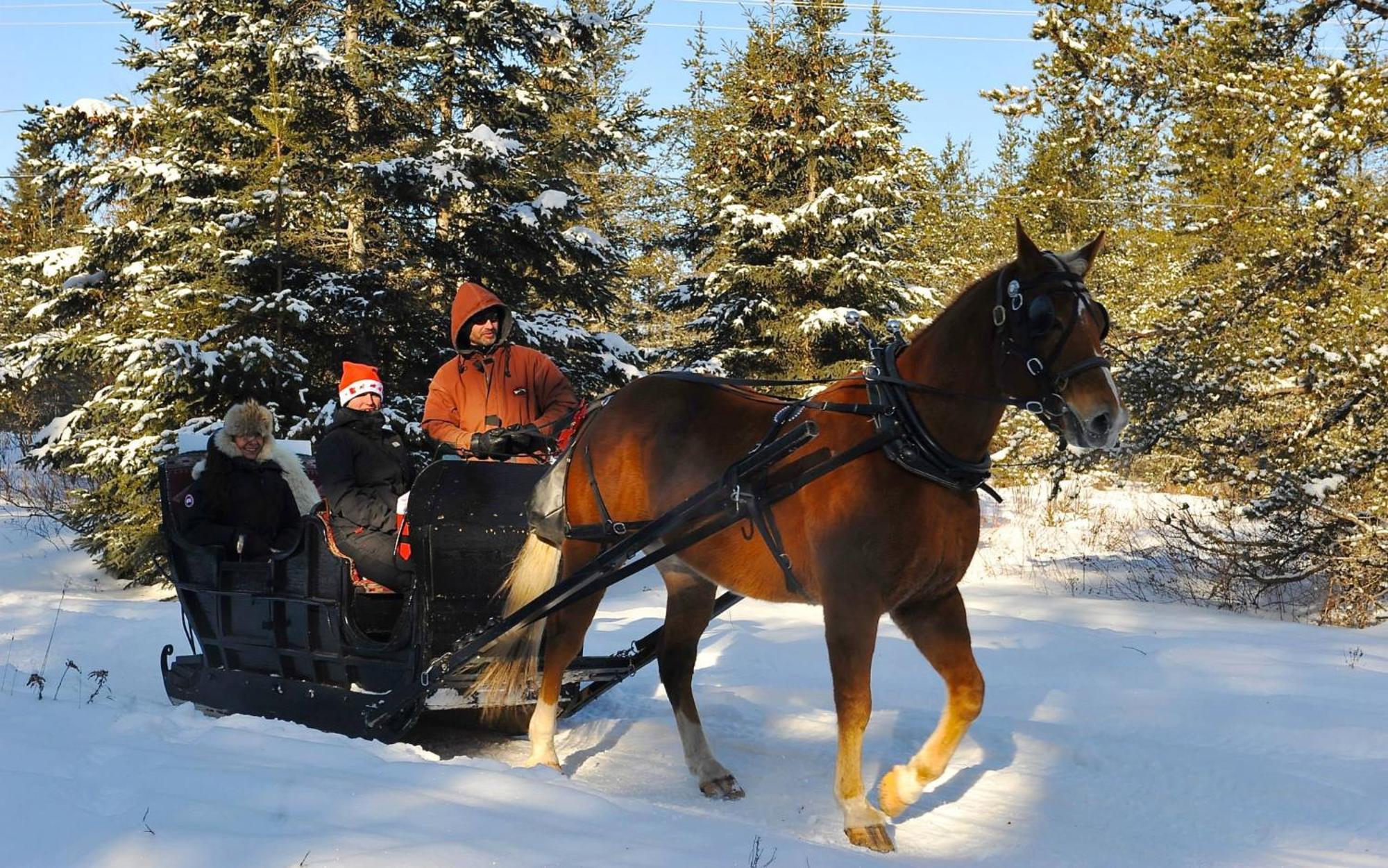 Le St Bernard - Les Chalets Spa Canada La Malbaie Bagian luar foto