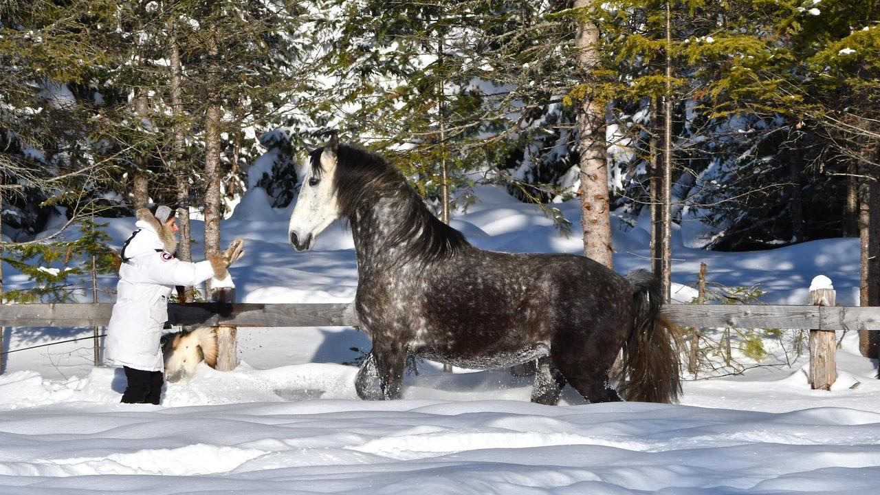 Le St Bernard - Les Chalets Spa Canada La Malbaie Bagian luar foto